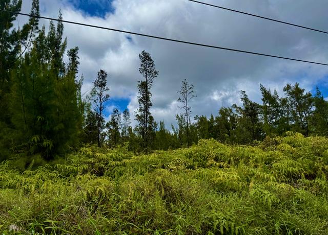 Property at 11-1993 Kaleponi Dr, Volcano, HI 96785