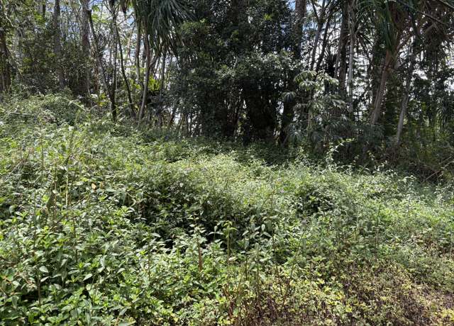 Property at 15-281 Kahakai Blvd, Pahoa, HI 96778
