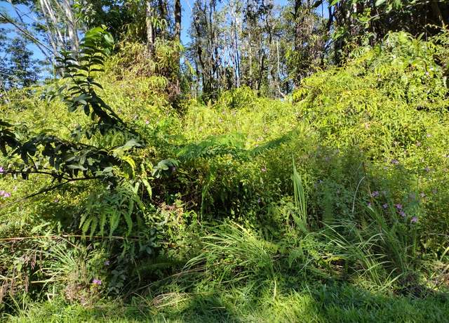 Property at Forest Rd, Pahoa, HI 96778