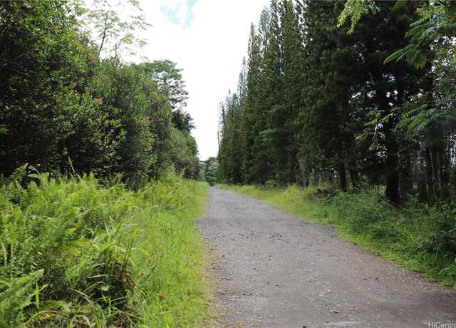 Property at 17-4531 South Rd, Kurtistown, HI 96760