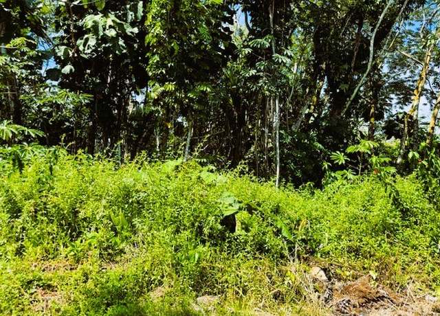 Property at Oio St, Pahoa, HI 96778