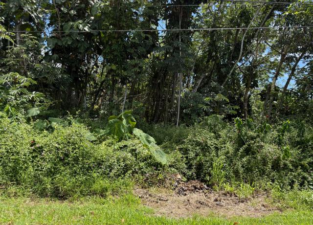 Property at Oio St, Pahoa, HI 96778