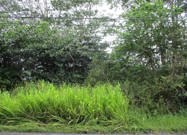 Property at 17th Ave, Keaau, HI 96749