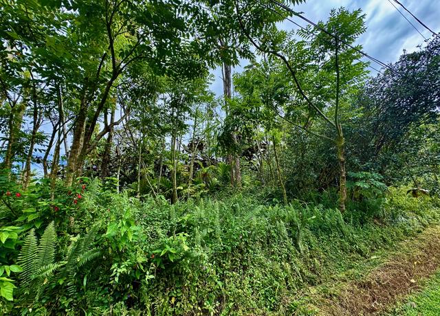 Property at Nohea St, Pahoa, HI 96778