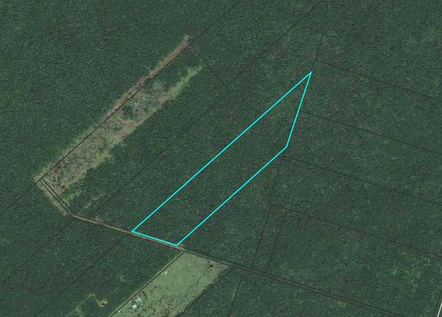 Property at Mauna Loa Rd, Volcano, HI 96785