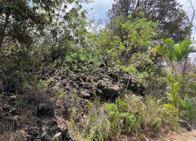 Property at 92-8884 Lotus Blossom Ln, Ocean View, HI 96737