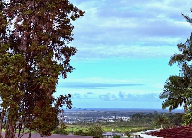 Property at 161 Manulele St, Hilo, HI 96720