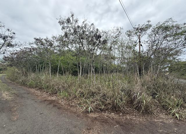 Property at 94-6300 Pele St, Naalehu, HI 96772