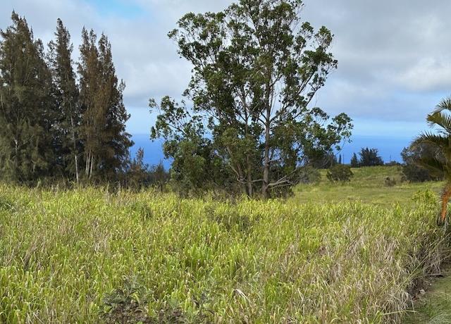 Property at Palikekua St, Honokaa, HI 96727