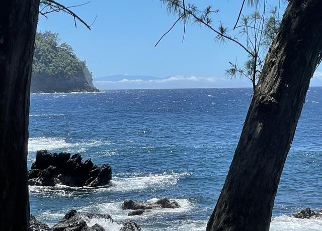 Property at 36-1070 Laupahoehoe Point Rd, Laupahoehoe, HI 96764