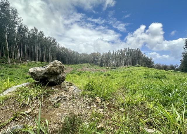 Property at Cane Haul Rd, Honokaa, HI 96727