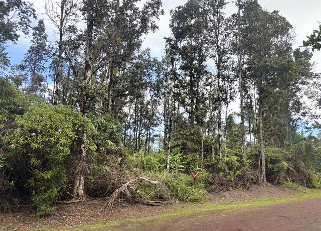 Property at Hilo St, Pahoa, HI 96778
