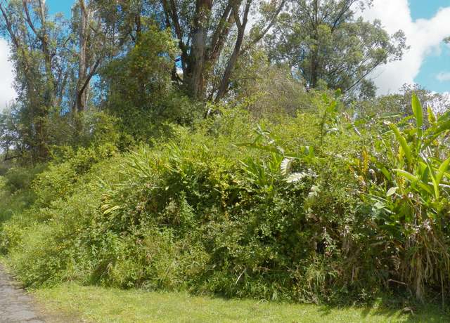 Property at Hinuhinu St, Volcano, HI 96785