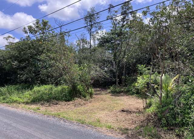 Property at 15-1463 21st Ave, Keaau, HI 96749