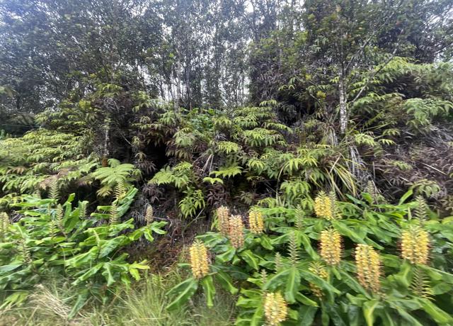 Property at 11-3825 Liona St, Volcano, HI 96785