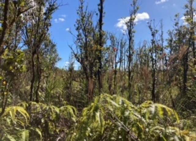 Property at Laupaka Rd, Volcano, HI 96785