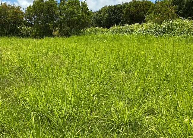 Property at 6346 Kawaihau Rd, Kapaa, HI 96746