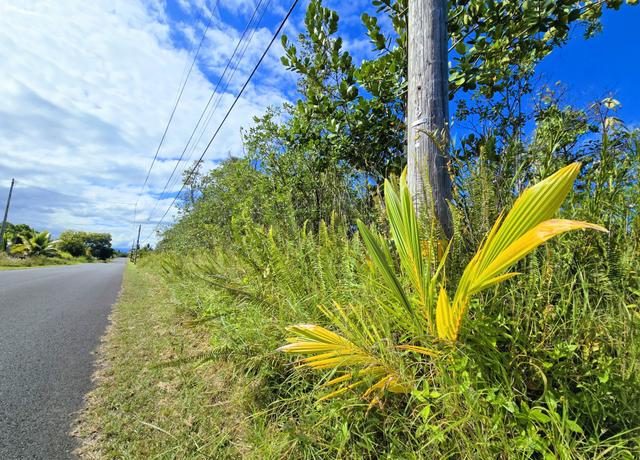 Property at 29th Ave, Keaau, HI 96749