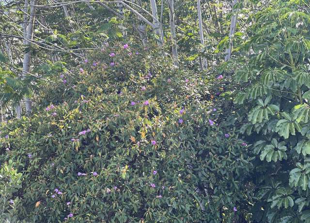Property at 19th Ave, Keaau, HI 96749