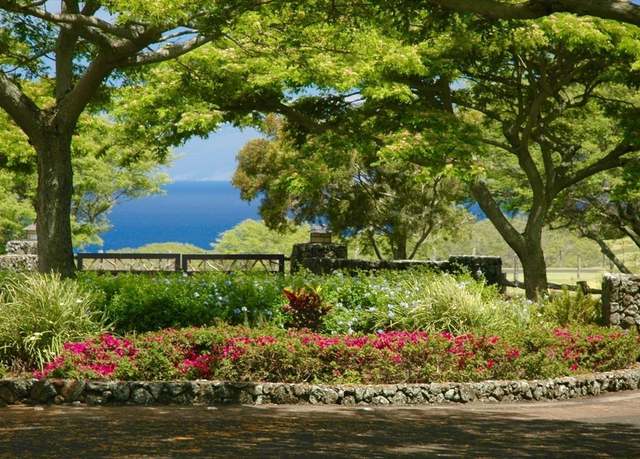 Property at 56-113 Pualani Rd, Hawi, HI 96719