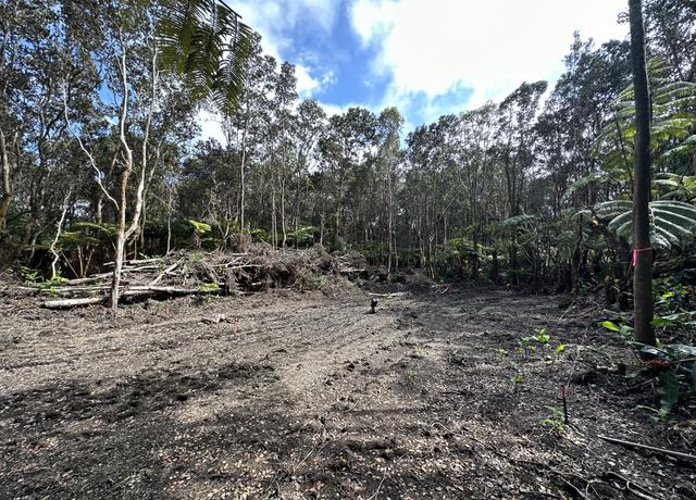 Property at 11-3891 3rd St, Volcano, HI 96785