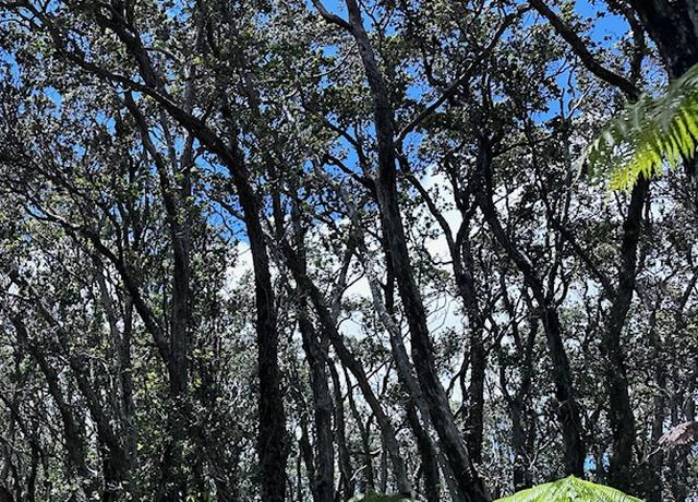 Property at 16-1573 AO Rd, Mountain View, HI 96760