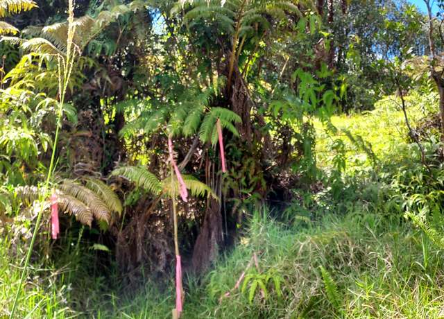Property at 18-2300 Road 9, Volcano, HI 96785