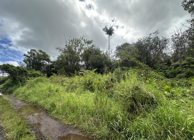 Property at Waikiki St, Mountain View, HI 96771