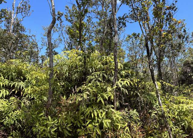 Property at Kaleponi Dr, Volcano, HI 96785