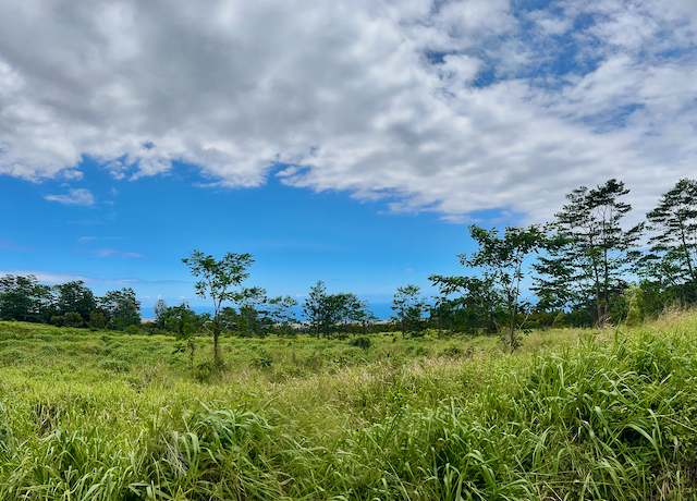 Property at Meyer Rd, Pahala, HI 96777