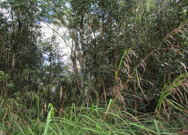 Property at Aulii St, Kurtistown, HI 96760