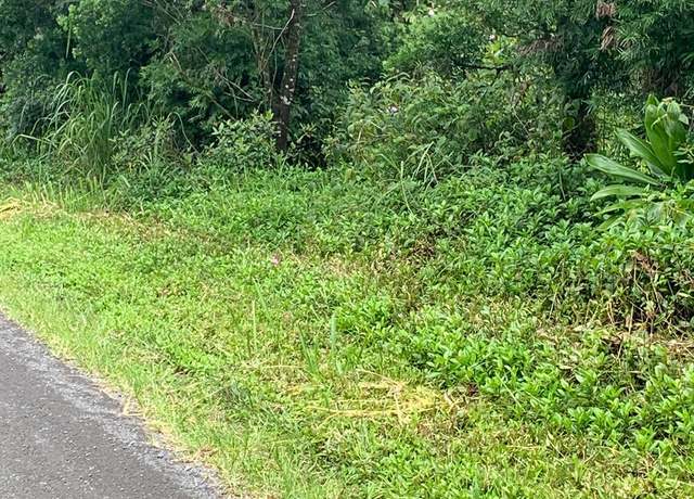 Property at Railroad Ave, Keaau, HI 96749
