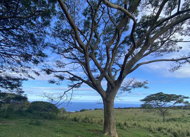 Property at NAALEHU, HI 96772, Naalehu, HI 96772