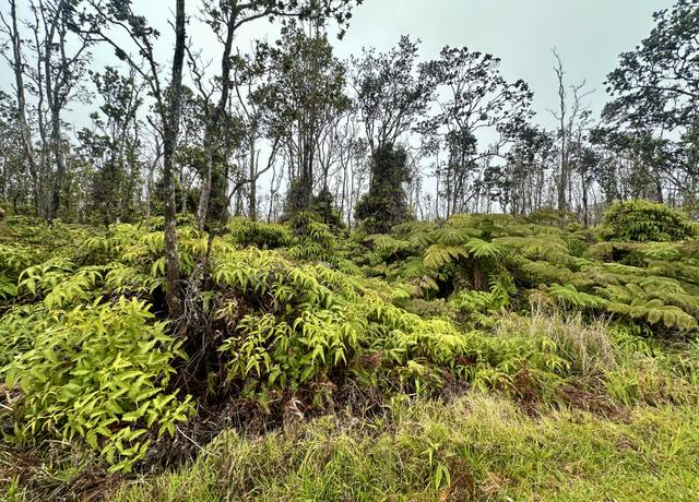 Property at 11-3375 Mokuna St, Volcano, HI 96785