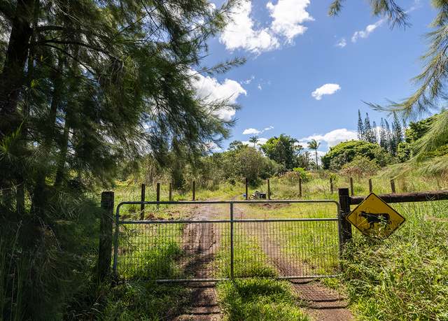 Property at 17-4794 Ike Onipaa Rd, Mountain View, HI 96771
