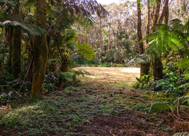 Property at 11-3909 4th St, Volcano, HI 96785