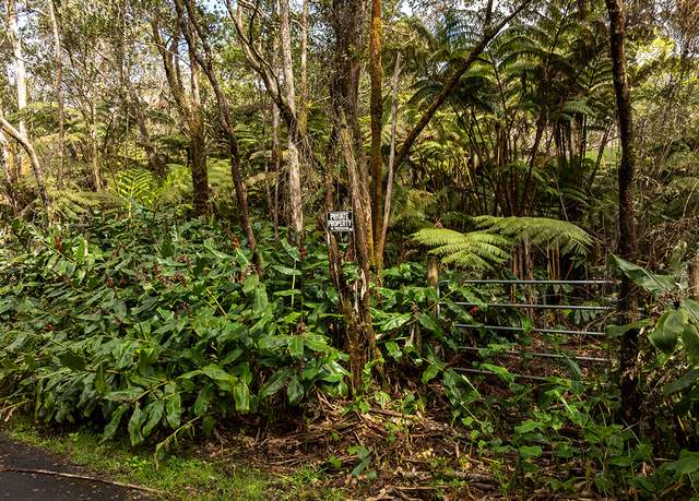 Property at 9th St, Volcano, HI 96785