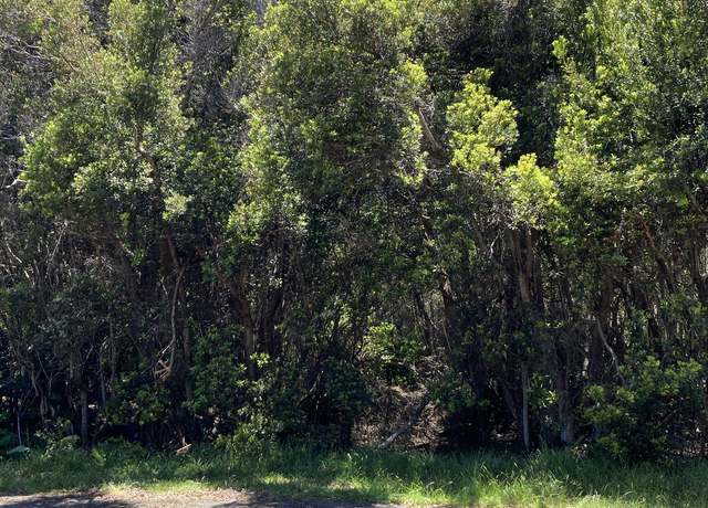Property at 99-7811 Kanoni Pl, Volcano, HI 96785