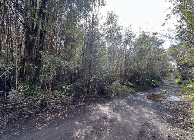 Property at Road 13, Volcano, HI 96785