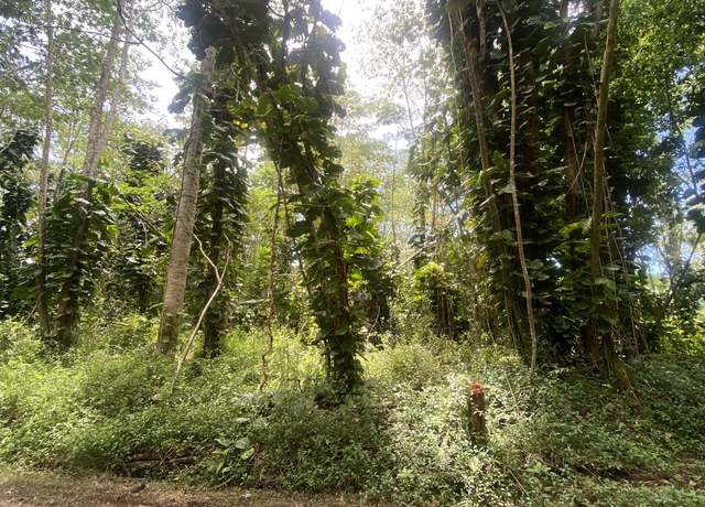 Property at Hilo Rd, Pahoa, HI 96778