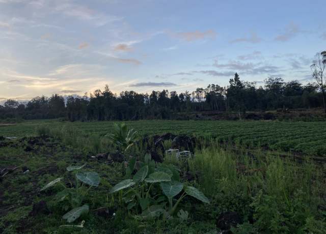 Property at 18-1585 Volcano Rd, Volcano, HI 96785