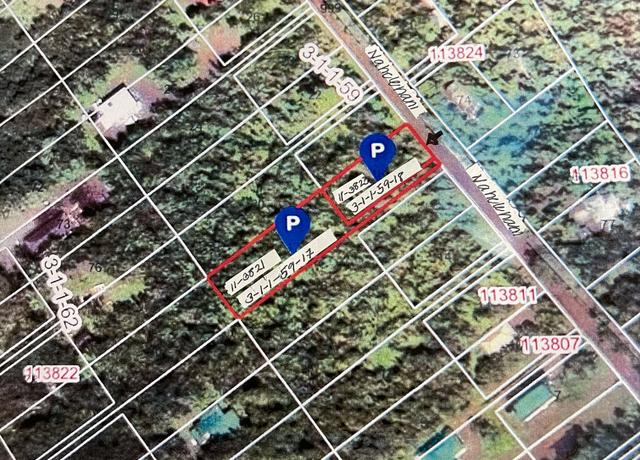 Property at 11-3821 Nahelenani St, Volcano, HI 96785