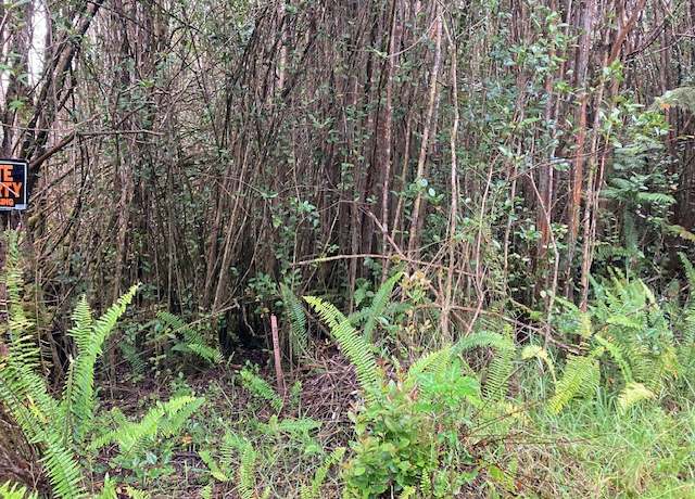 Property at Road 5, Volcano, HI 96785