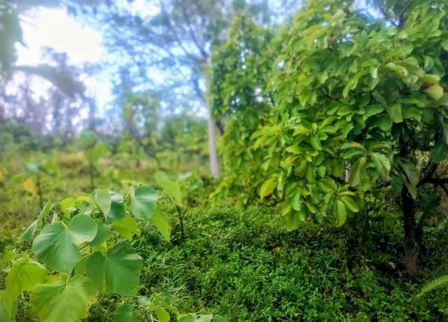 Property at 12-262 Pohakupele Loop, Pahoa, HI 96778
