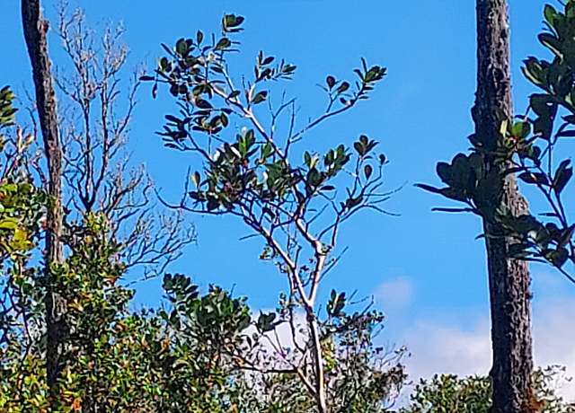 Property at 11-1811 Mikana St, Mountain View, HI 96771