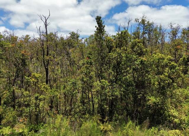 Property at Omeka Rd, Volcano, HI 96785