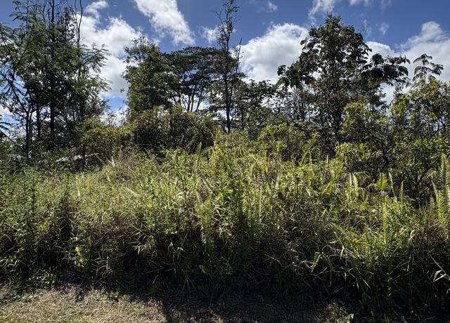 Property at Brookover St, Kurtistown, HI 96760