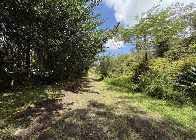 Property at 16-1432 Poouli Rd, Kurtistown, HI 96760