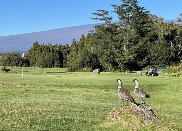 Property at VOLCANO, HI 96785, Volcano, HI 96785
