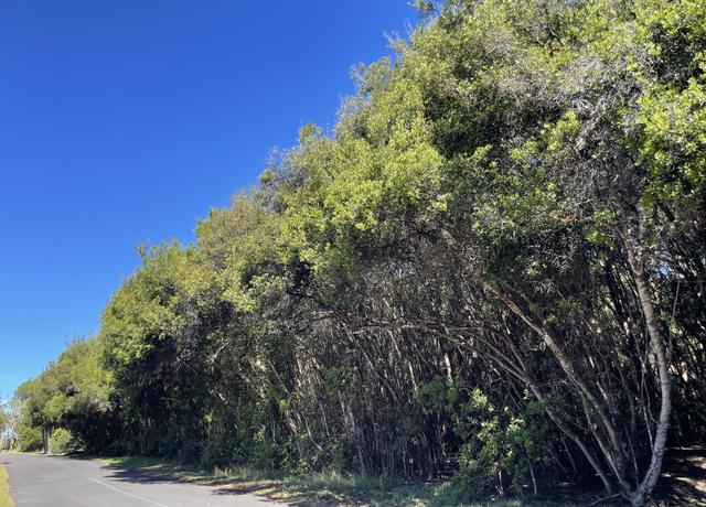 Property at 99-7718 W Kaohelo Pl, Volcano, HI 96785